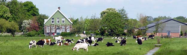 Hoeve Ackerdijk