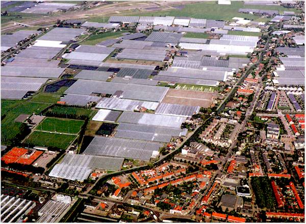 Harnaschpolder1999.jpg (79381 bytes)