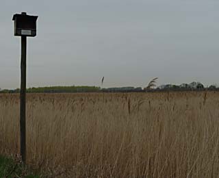 De Rietputten naast het Volksbos - Vlaardingen