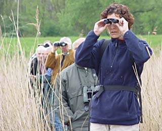Vogels spotten in het Volksbos